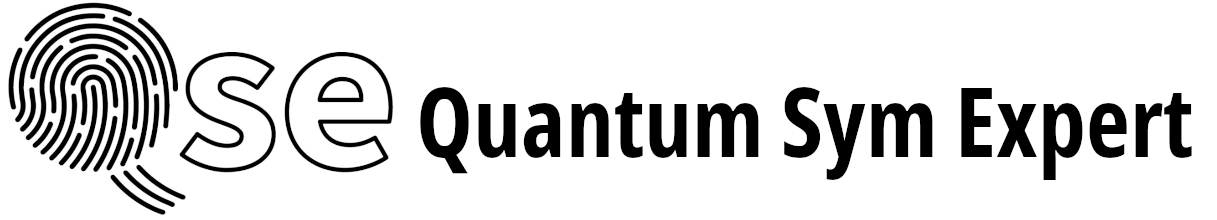 QSE - Quantum Sym Expert Srl logo